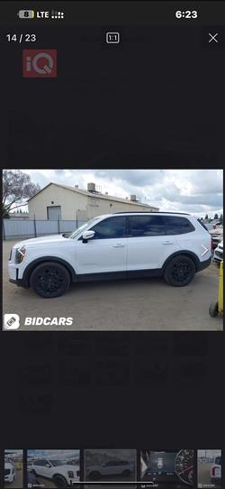 کیا تێلوراید